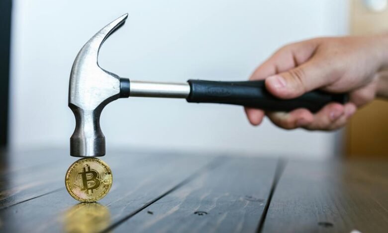 coyyn crypto s rising influence