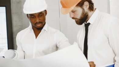 industry development insights overview