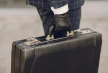 management insights brief summary