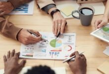 sector development assessment report