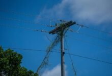 digital infrastructure growth strategy