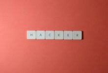 professional it network security