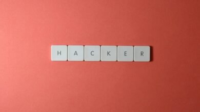 professional it network security