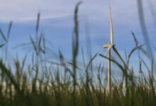 smart technology growth solutions